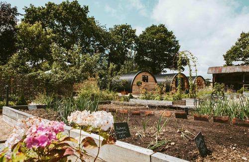 Mortimer West End Cottage | Basil Pyggy - Luxury Cottages