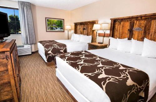 Springfield Hotel | Bass Pro Shops Angler's Lodge