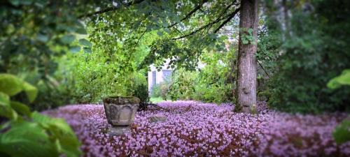 Lamillarie Bed & Breakfast | Bastide Armande