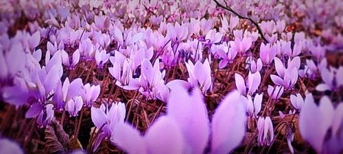 Lamillarie Bed & Breakfast | Bastide Armande