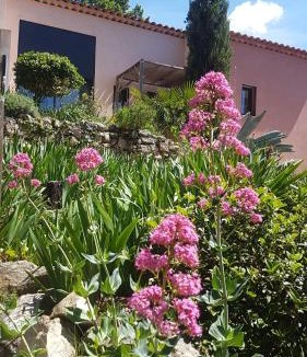 Evenos House | Bastide Cigaline