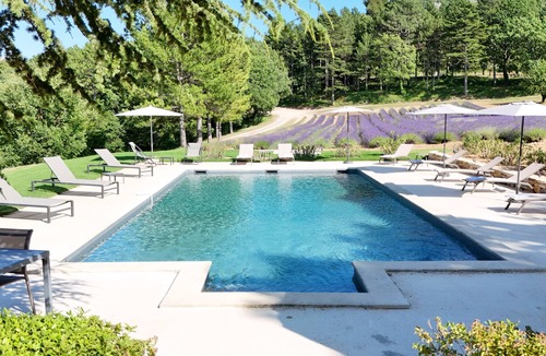 Apt House | Bastide de l'Esclat - Pool - lavender fields