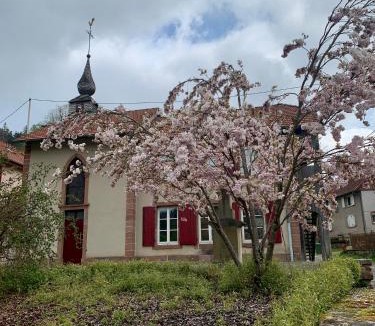 Abreschviller Apartment | Bastide du Soldat