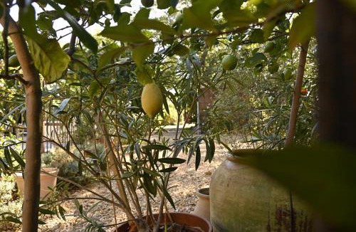 Perpignan House | Bastide le Petit Clos - les 2 Gîtes