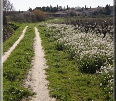 Coulobres Bed & Breakfast | Bastide YSATIS