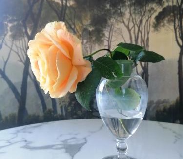 Coulobres Bed & Breakfast | Bastide YSATIS