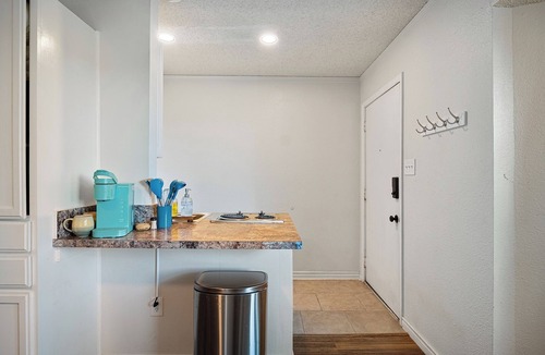 Bastrop Apartment | Bastrop Bungalow: Charming studio with strong WiFi and pine trees galore