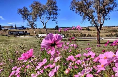 Kelso Hotel | Bathurst Gold Panner