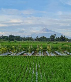 Ngemplak House | Baturiti Modern Guest House with private pool