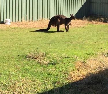 Baudin Beach Apartment | Baudin Beach Holiday Units