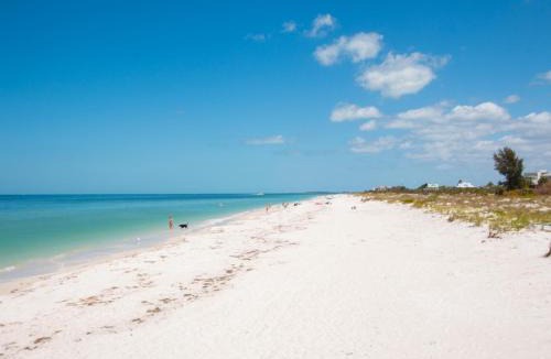 Clearwater Beach Apartment | Bay Harbor 202