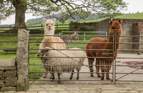 Skipton House | Bay Horse Farm