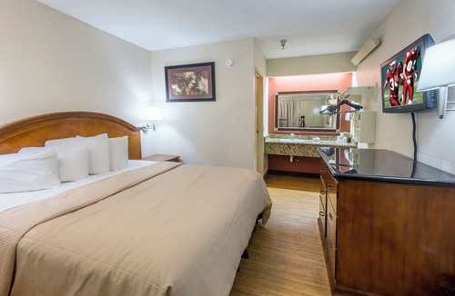 Bearss Plaza Hotel | BAY INN