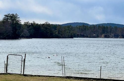 Moultonborough Apartment | Bay Road Beach Day