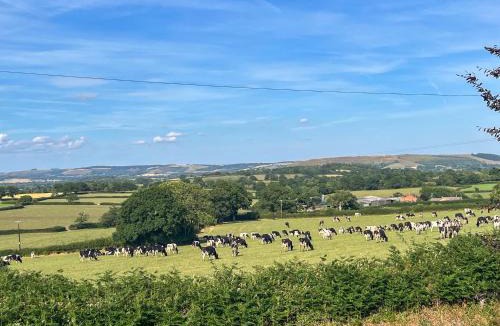 Pulham House | Bay Tree