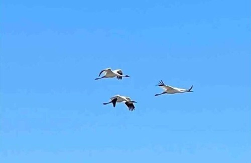 Rockport RV Rental | Bay View Camper Space RV Sites - 2 available