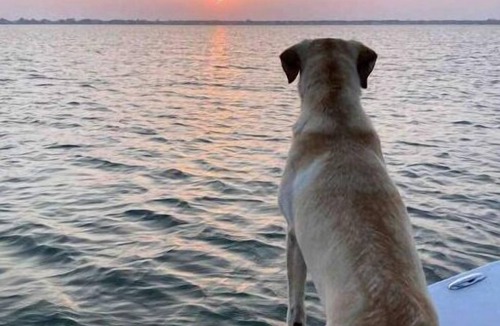 Rockport RV Rental | Bay View Camper Space RV Sites - 2 available