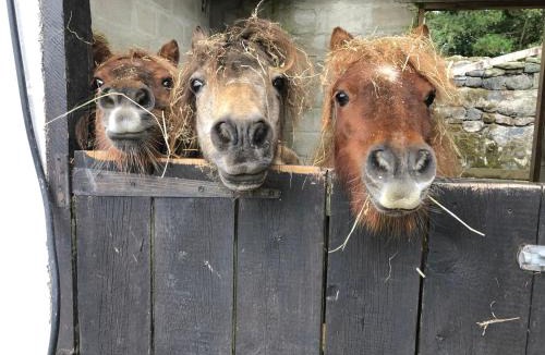 Boscundle Apartment | Bay View Cottage