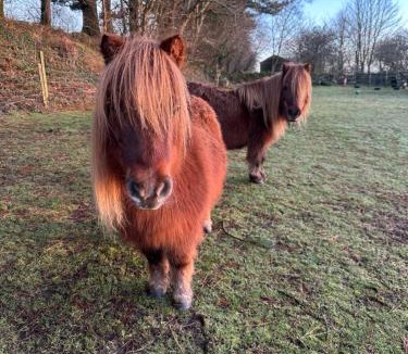 Boscundle Apartment | Bay View Cottage