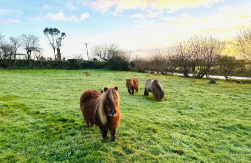 Boscundle Apartment | Bay View Cottage