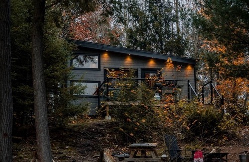 Dysart et al Cabin | Baylight Cabin | Gorgeous Cabin on Private Lake
