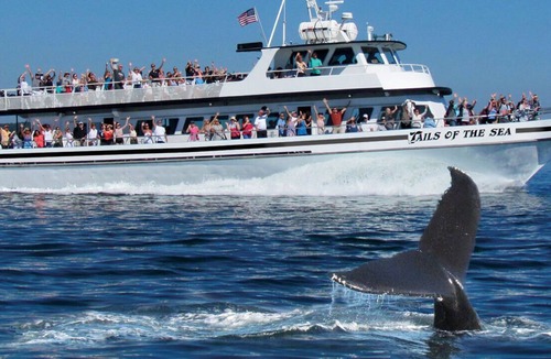 North Truro Condo | Bayside Beach Rental on Shore Rd.