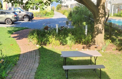 Rock Hall House | BAYSIDE BUNGALOW