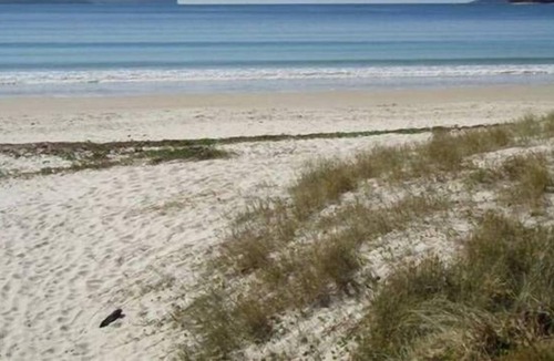 Vincentia Cabin | Bayswater Beach House - Unit 2