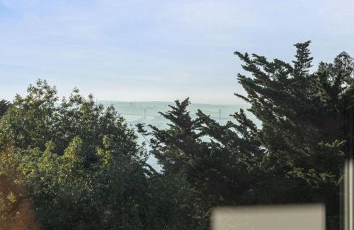 Piedmont Pines House | Bayview Bliss