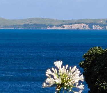 Browns Bay House | Bayview Holiday Flat