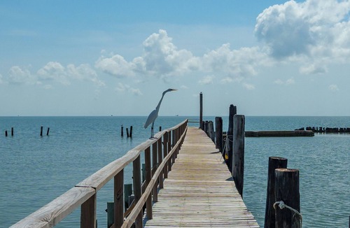 Fulton Condo | Bayview Paradise | Dog Friendly + Pool & Pier Access!