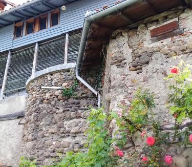 Montrejeau Bed & Breakfast | Bazar du Nouveau Siècle