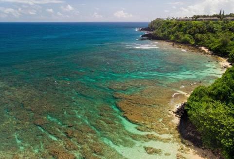 Princeville Resort | BBs Biz E HBR 4104/5/6