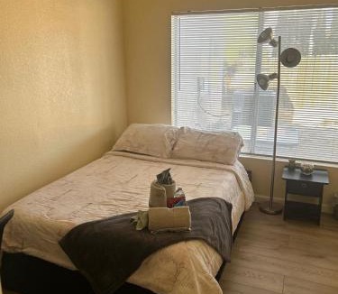 Palmdale House | Be Our Guest-Shared Home Tampa