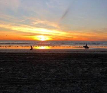 Centro Playas House | Be steps away from the beach - Downtown Rosarito