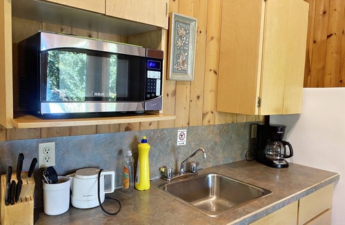 Falcon Lake Cabin | "Beach Blessing" Beach Front