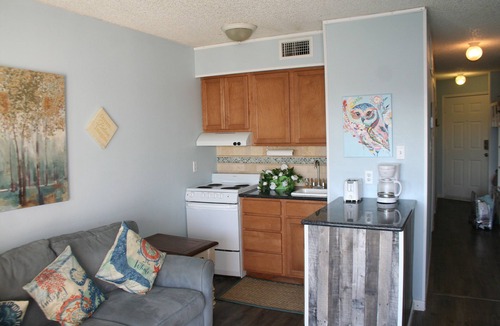 North Beach Condo | Beach Condo Walk to the sand beach and Texas State Aquarium.