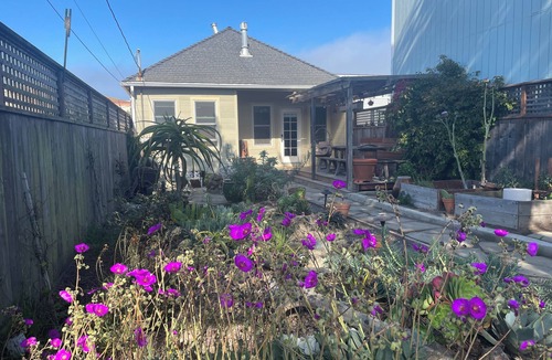 Outer Sunset Cottage | Beach Cottage