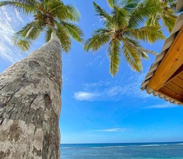 Nizao Apartment | Beach Front Condo!