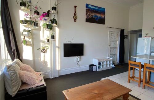 Oriental Bay Apartment | Beach front House