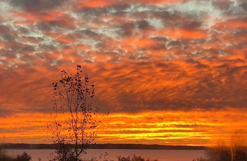 Port Mouton Cottage | BEACH HEAVEN modern Holiday Home - white sandy beach; 2 saunas; pet-friendly;n