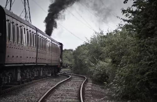 Seaton Sluice House | Beach house