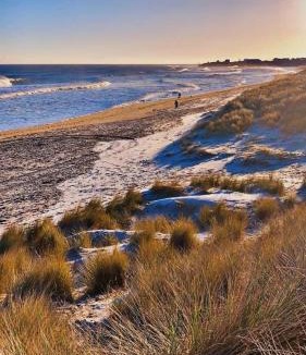 Seaton Sluice House | Beach house