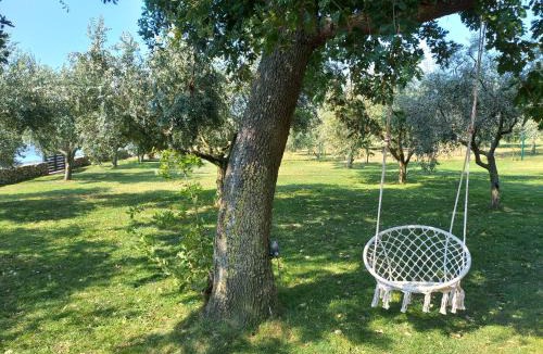 Pomer House | Beach House IVE, romantic escape with jacuzzi, pool & olive grove charm in Pomer, Istria