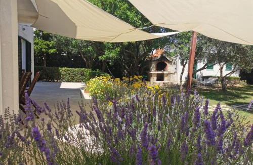 Vlasici House | Beach House Mela