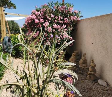 Vlasici House | Beach House Mela