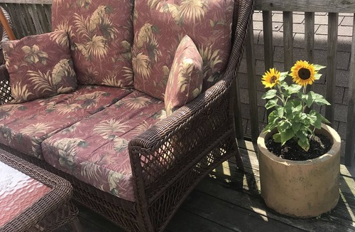 Bradley Beach Cottage | Beach house