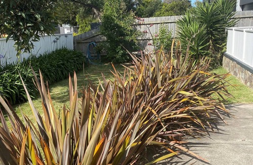 Capel Sound House | Beach Shack