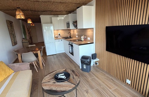 Le Grau-Du-Roi Apartment | Beach spirit-Waterfront-Terrace-Air conditioning-Parking