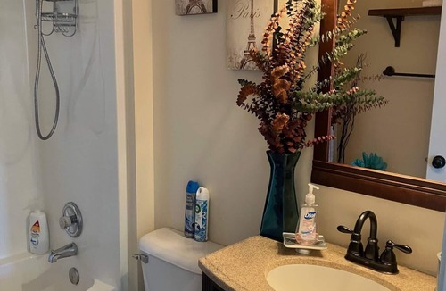 Glen Allen Apartment | Beach Themenn